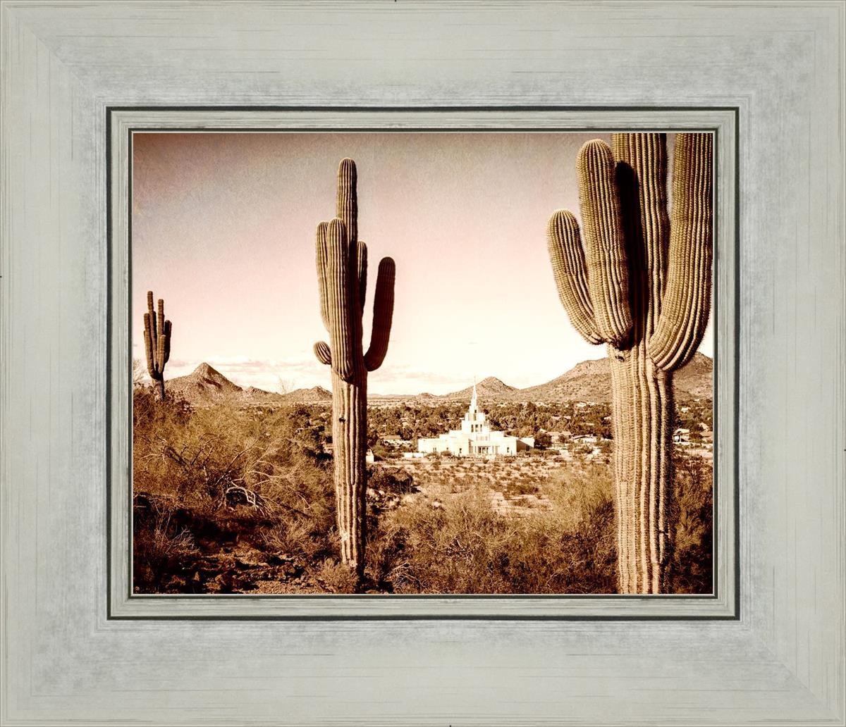 Phoenix Saguaro Cactus