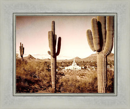 Phoenix Saguaro Cactus