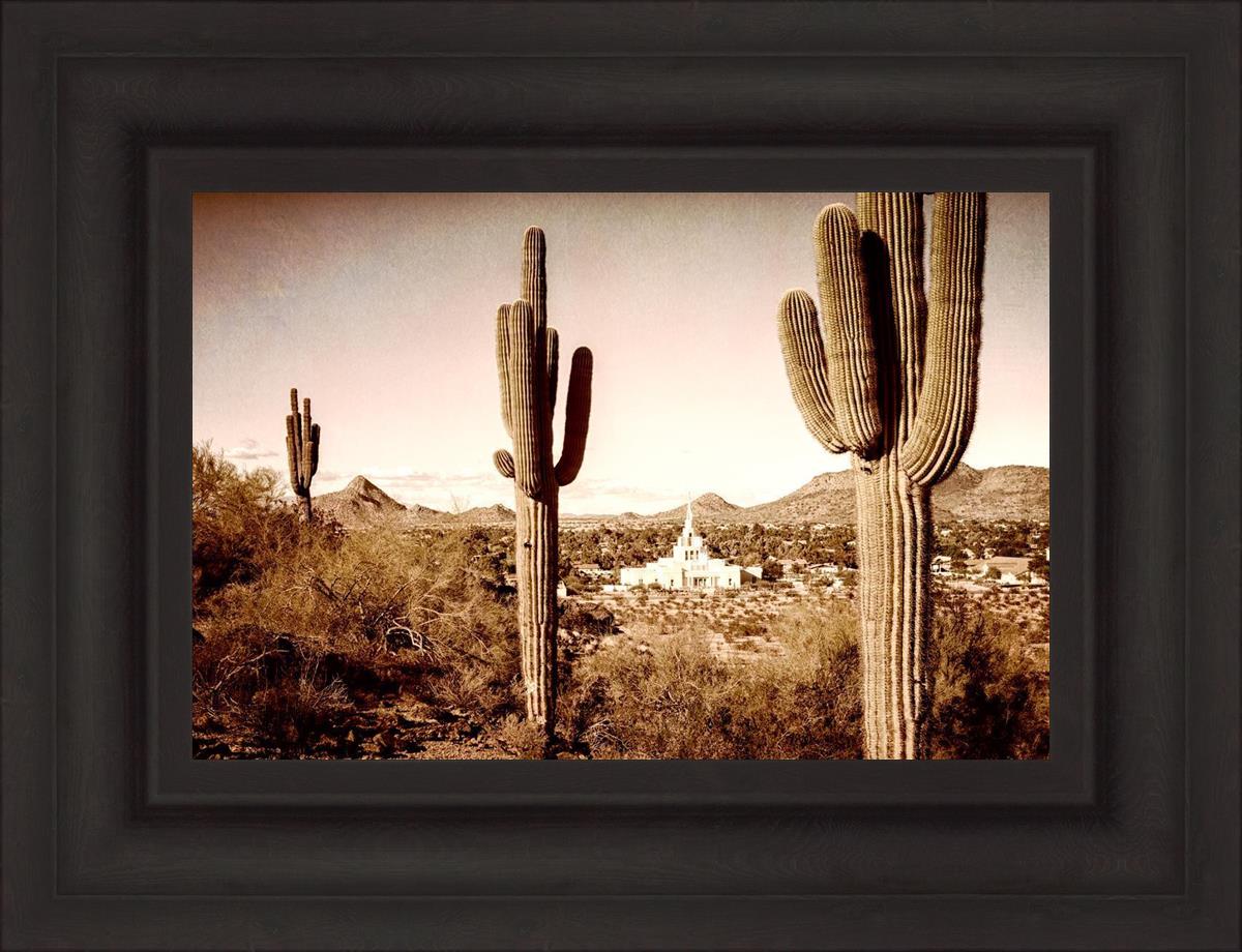 Phoenix Saguaro Cactus