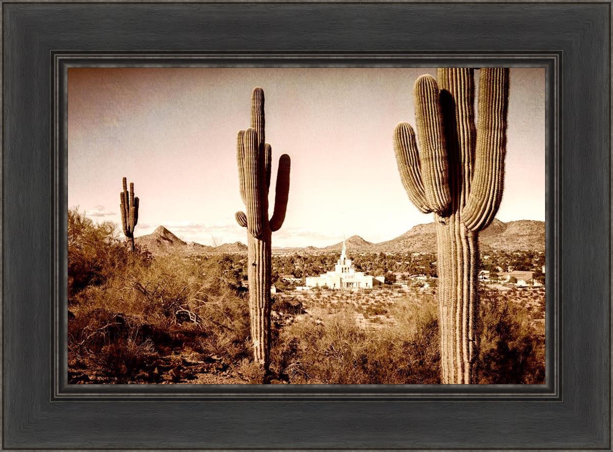 Phoenix Saguaro Cactus