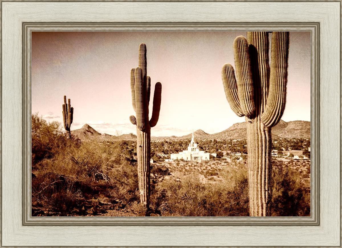 Phoenix Saguaro Cactus