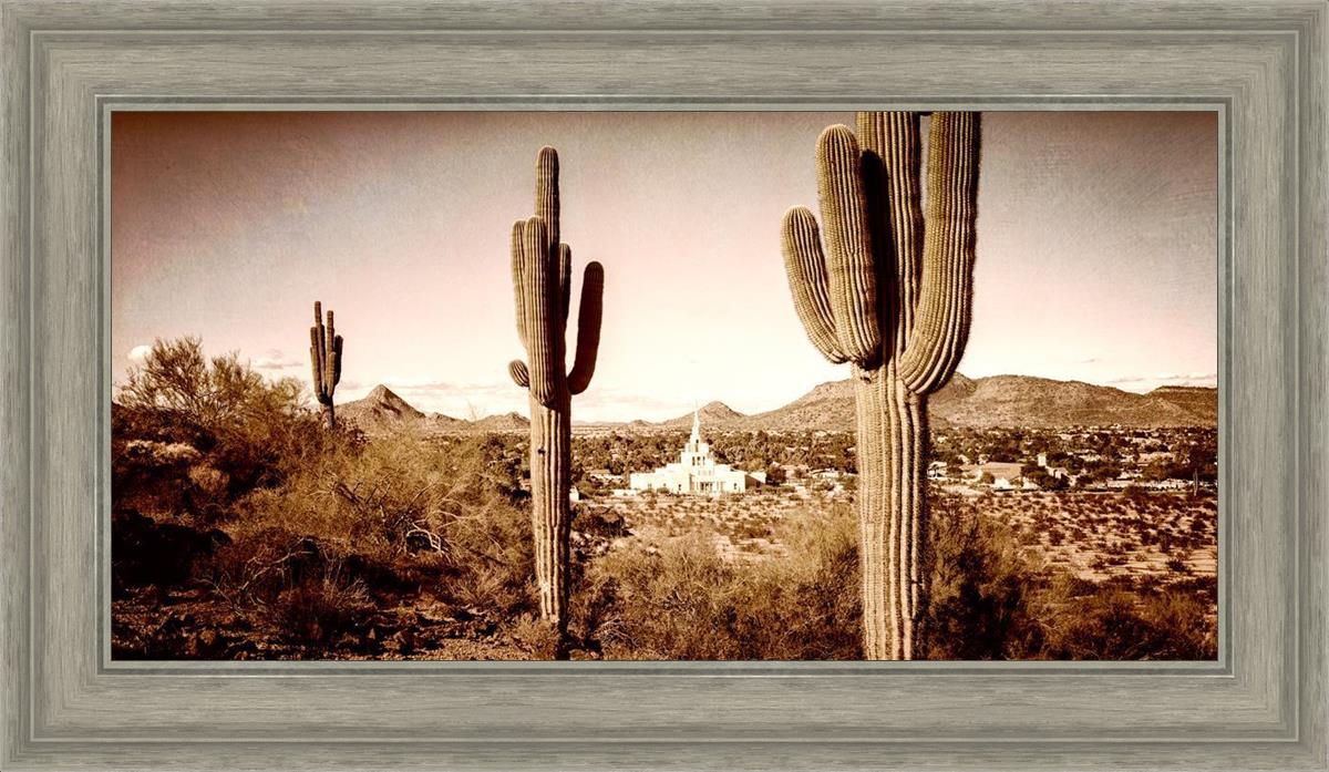 Phoenix Saguaro Cactus