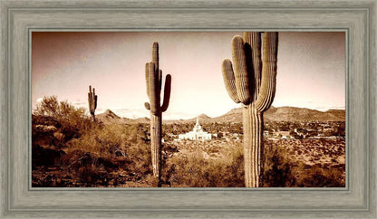 Phoenix Saguaro Cactus