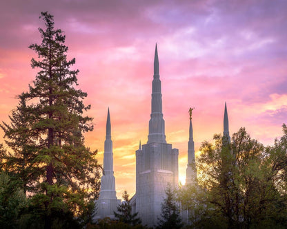 Portland Sunrise