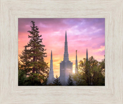 Portland Sunrise