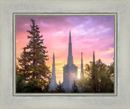 Portland Sunrise