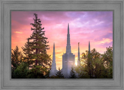 Portland Sunrise