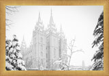 Salt Lake City High Key Snow