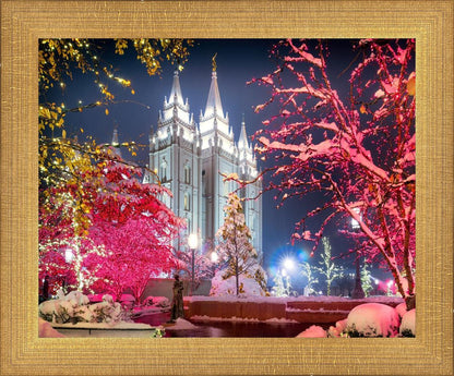 Salt Lake City Christmas Lights