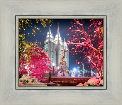 Salt Lake City Christmas Lights