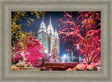 Salt Lake City Christmas Lights