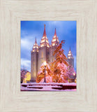 Salt Lake Christmas Temple