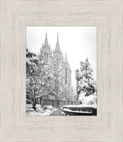 Salt Lake White Christmas