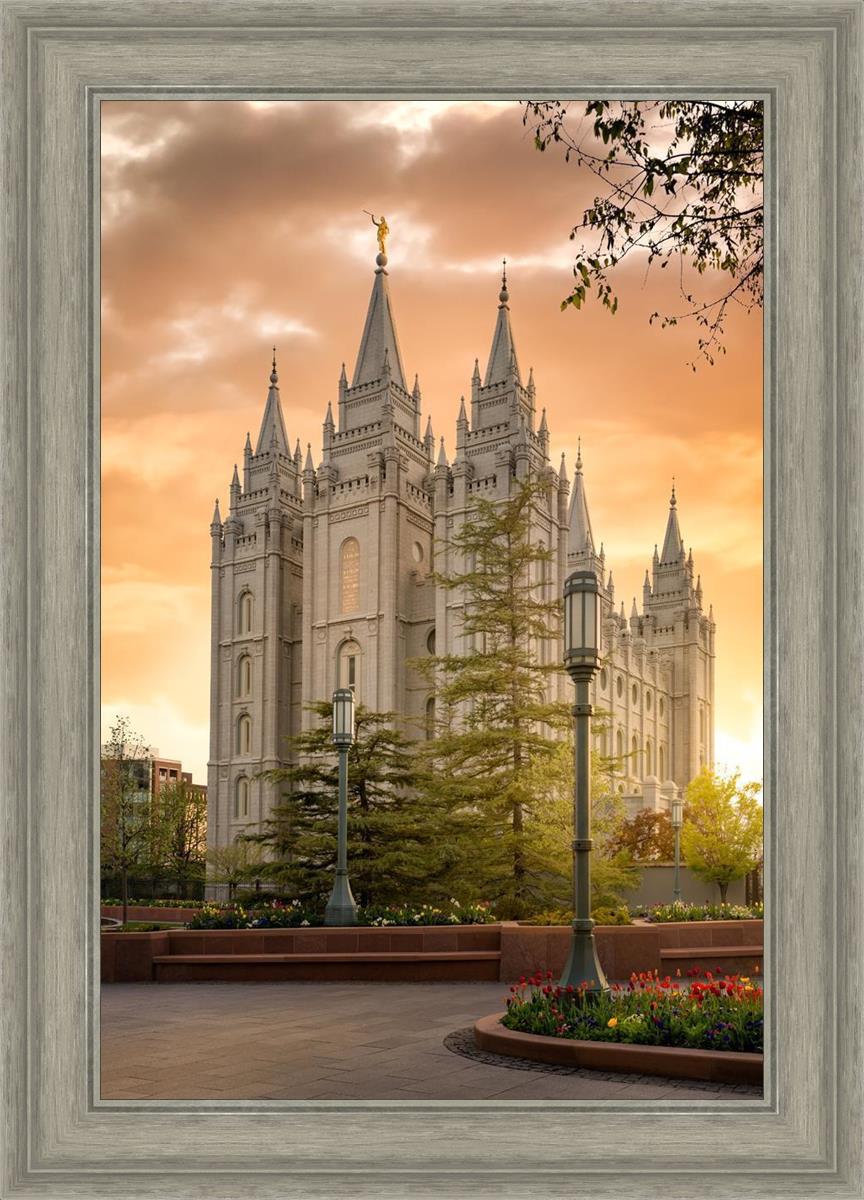 Salt Lake - The Promise