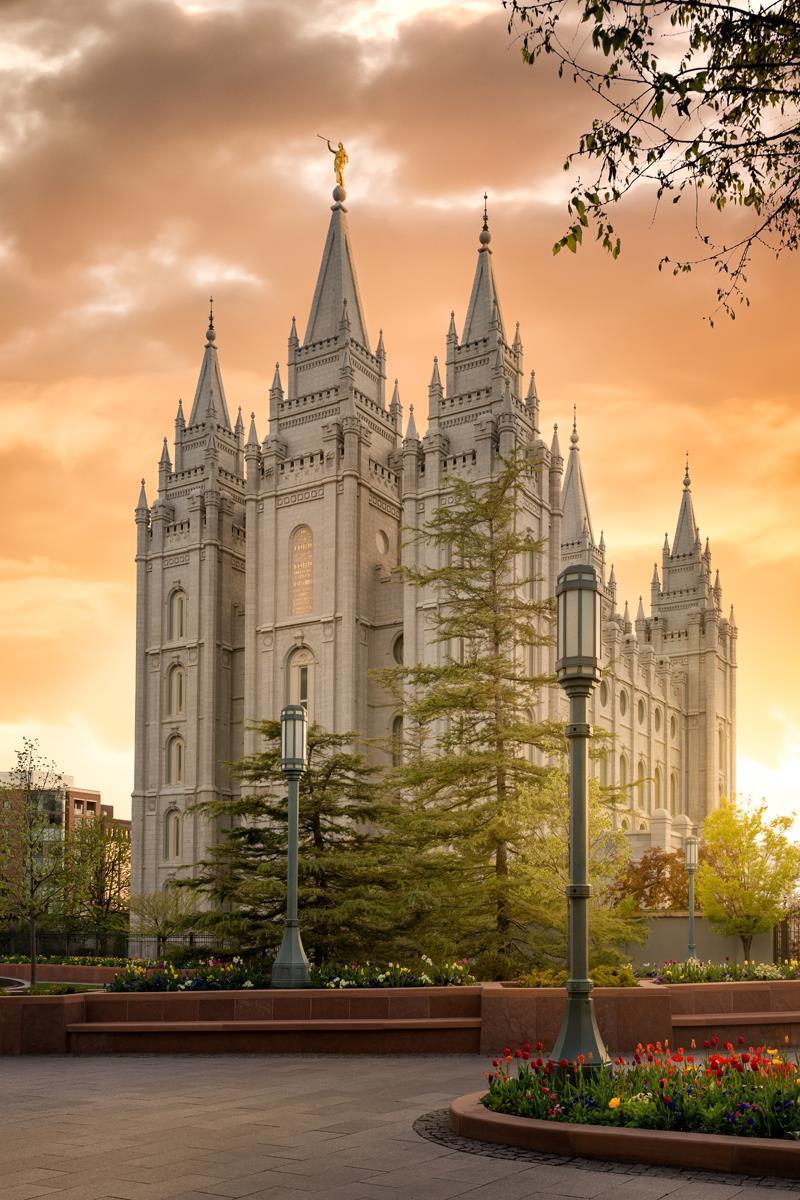 Salt Lake - The Promise