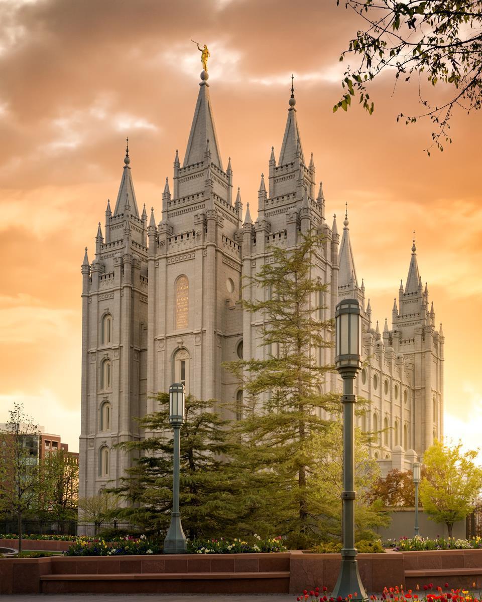 Salt Lake - The Promise