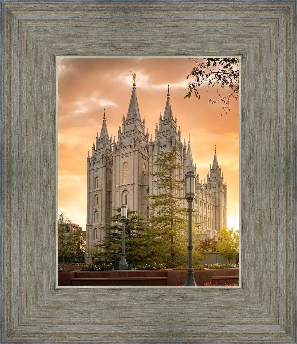 Salt Lake - The Promise