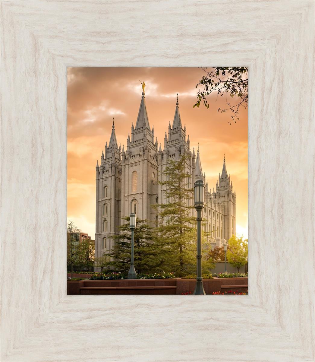 Salt Lake - The Promise