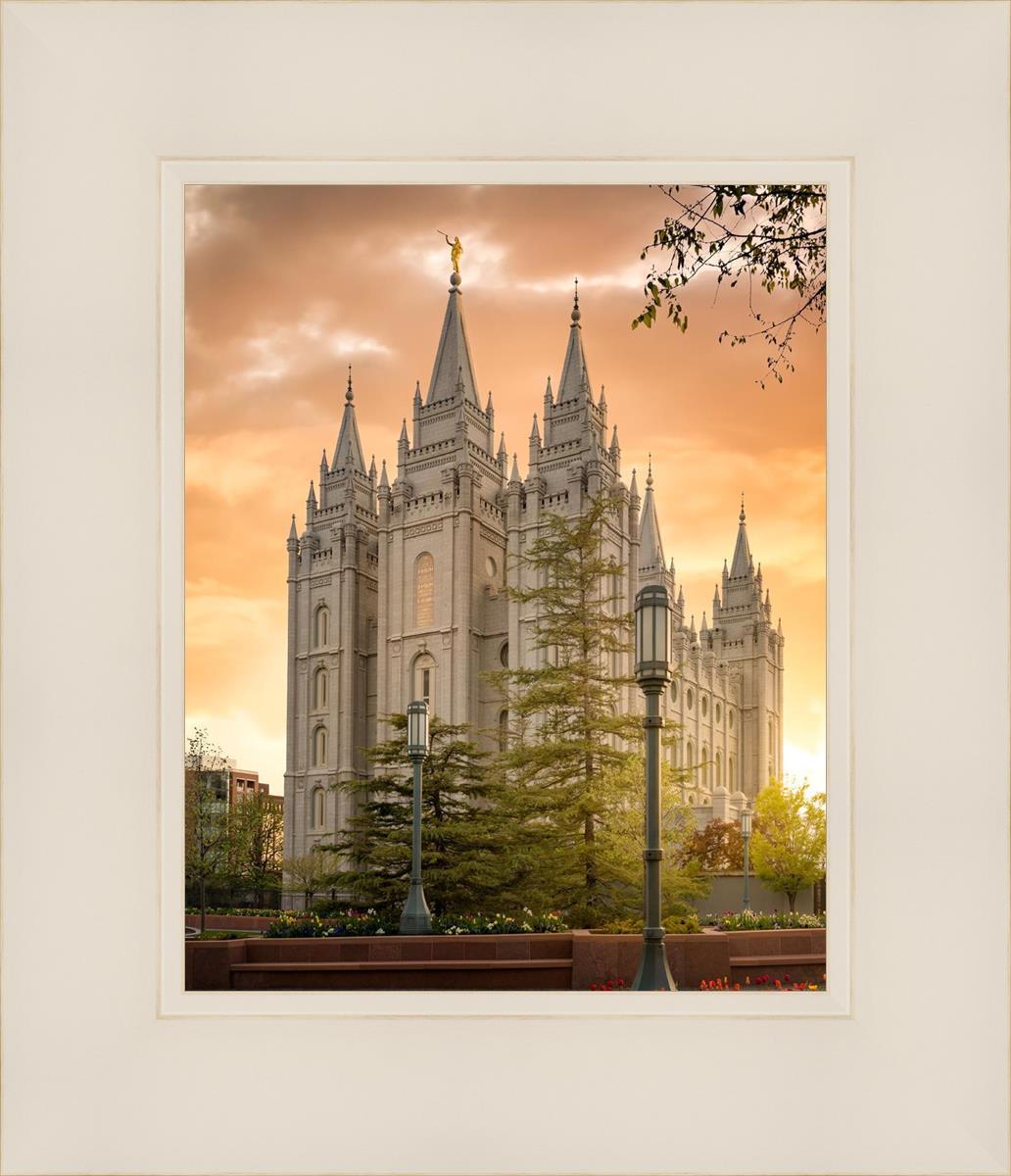 Salt Lake - The Promise