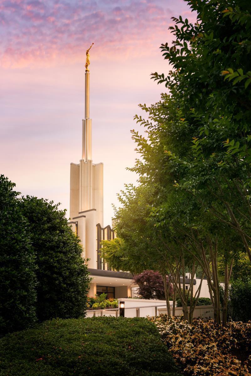 Atlanta Garden