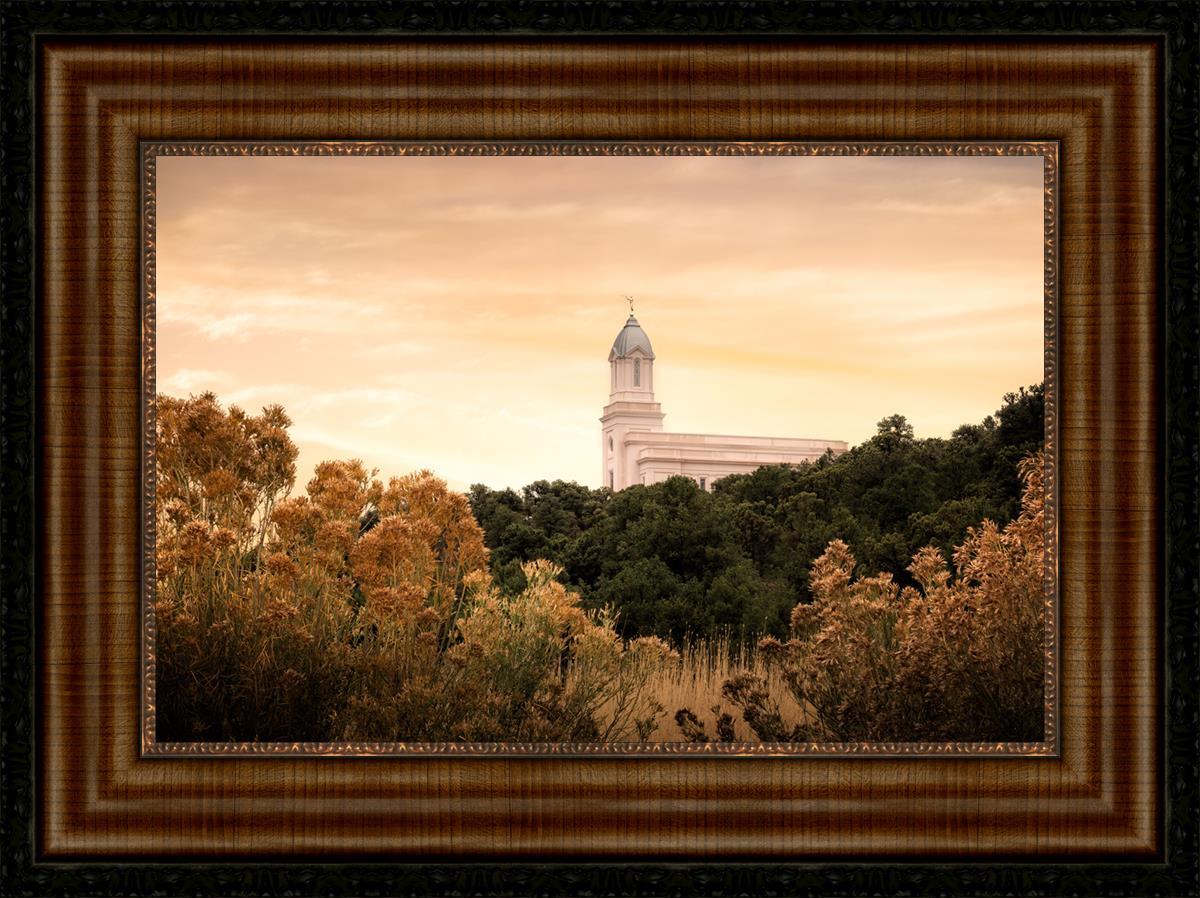 Cedar City Golden