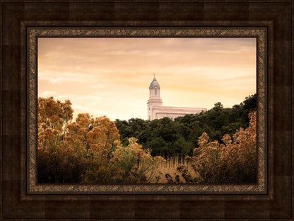 Cedar City Golden
