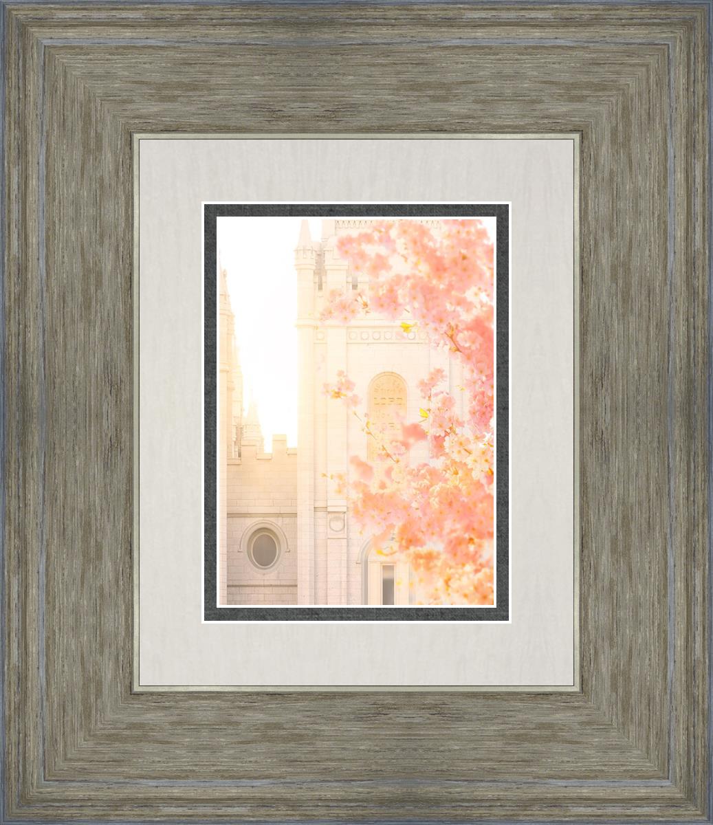 Salt Lake Blossom Glow