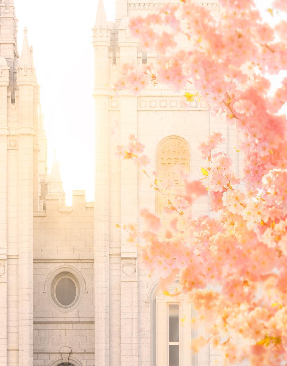 Salt Lake Blossom Glow