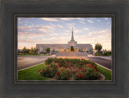Reno Flowers