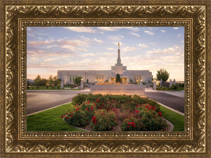 Reno Flowers