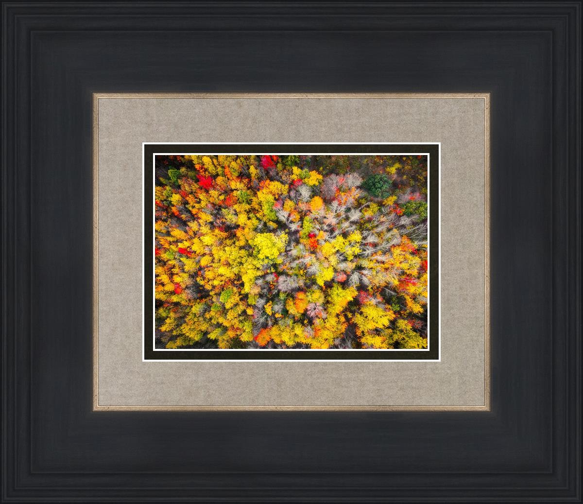Sacred Grove Autumn From Heaven