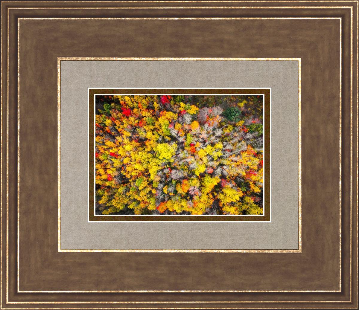 Sacred Grove Autumn From Heaven