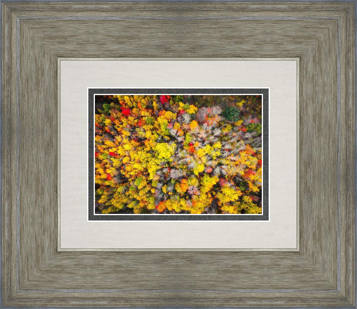 Sacred Grove Autumn From Heaven