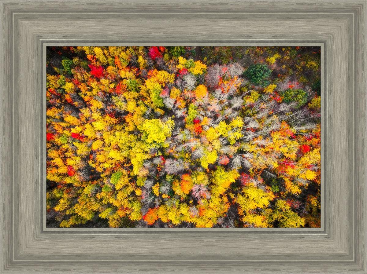Sacred Grove Autumn From Heaven