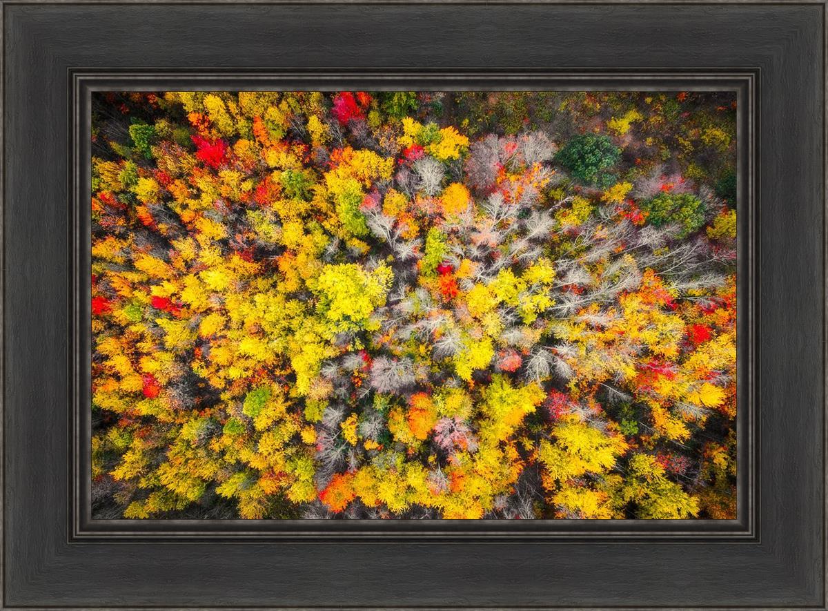 Sacred Grove Autumn From Heaven
