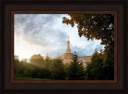 Columbus Sunburst