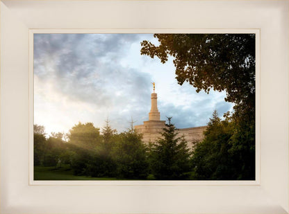 Columbus Sunburst