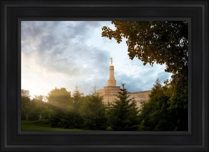 Columbus Sunburst