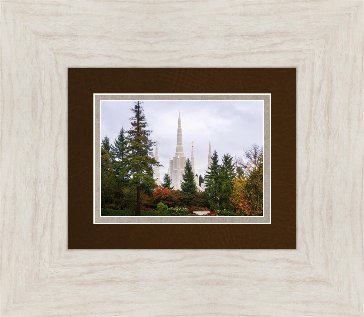 Portland Temple Forest Through The Trees
