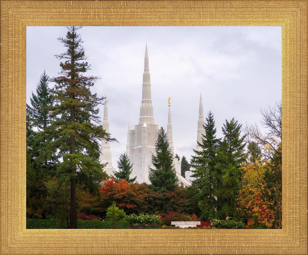 Portland Temple Forest Through The Trees