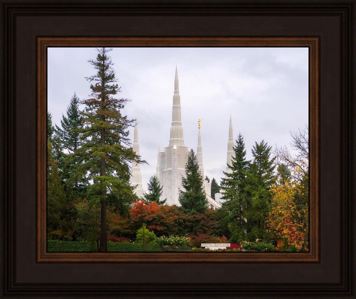 Portland Temple Forest Through The Trees