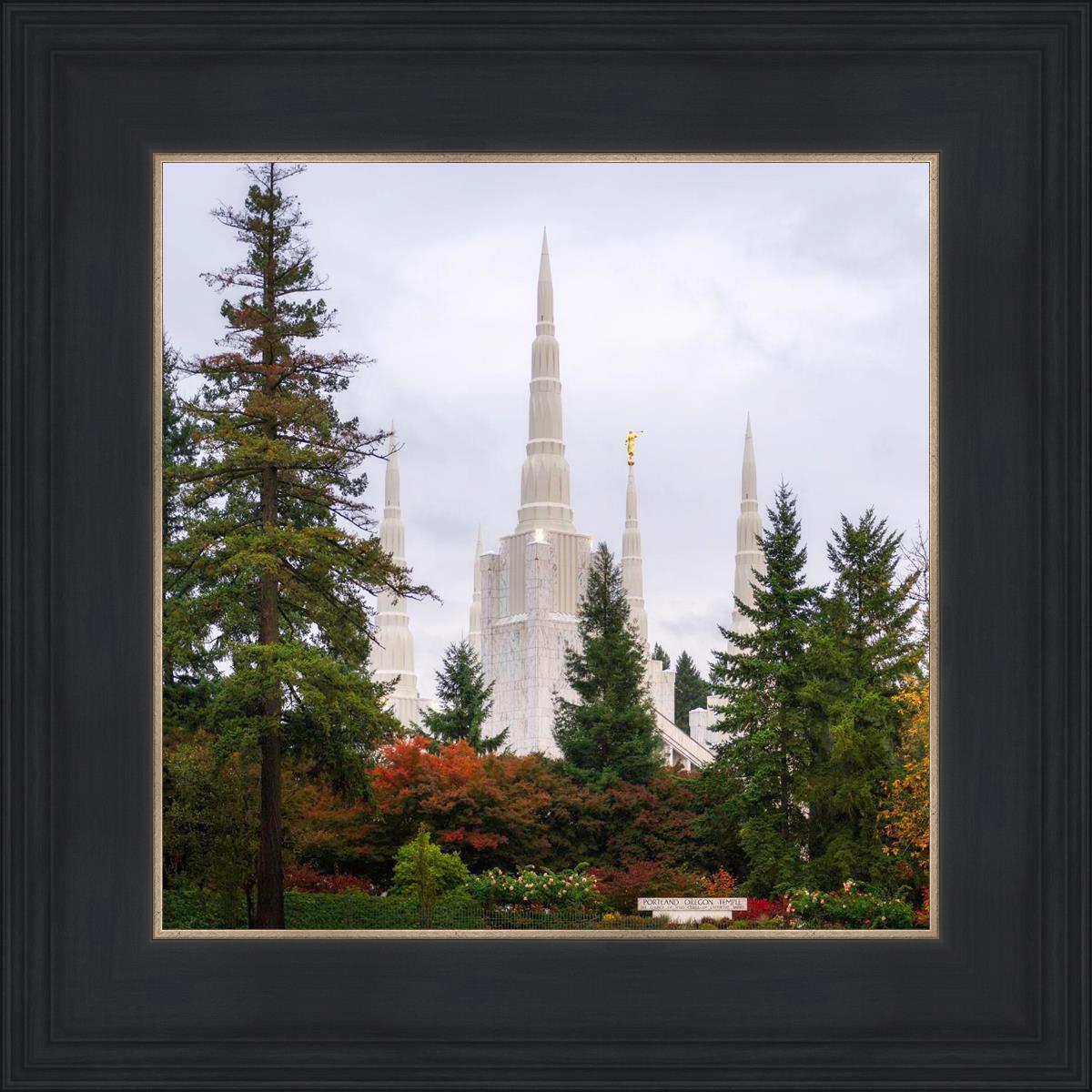 Portland Temple Forest Through The Trees