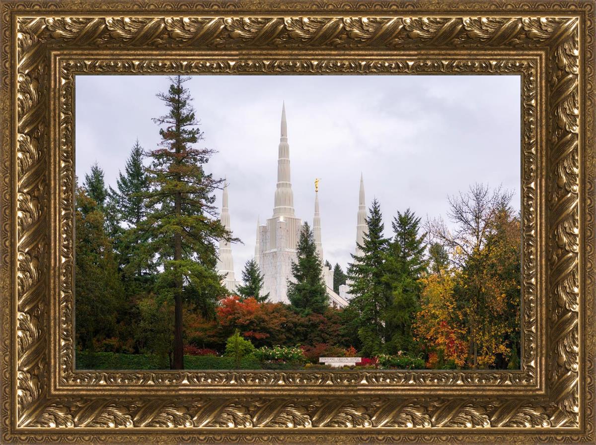 Portland Temple Forest Through The Trees