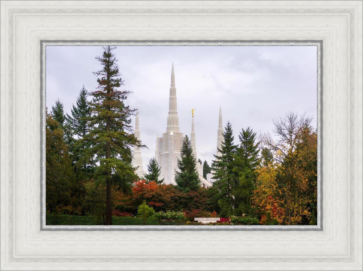 Portland Temple Forest Through The Trees