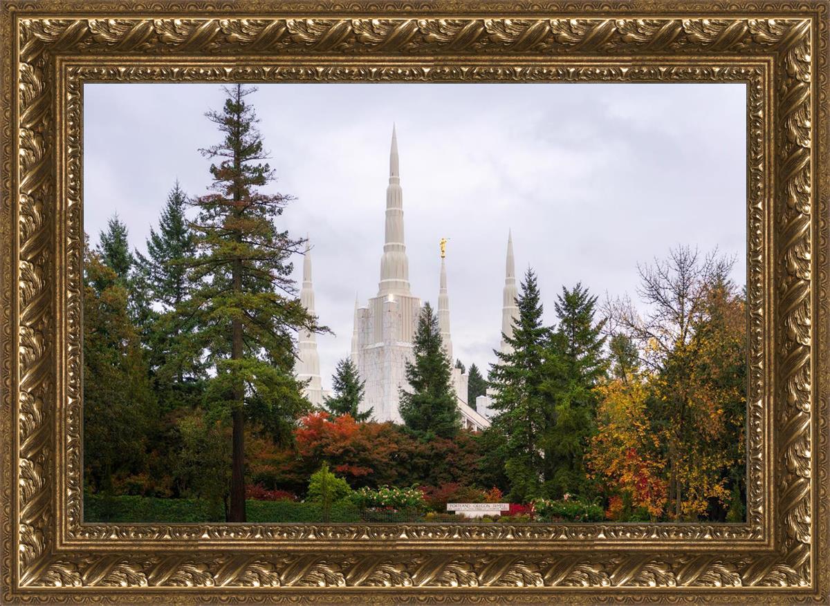 Portland Temple Forest Through The Trees