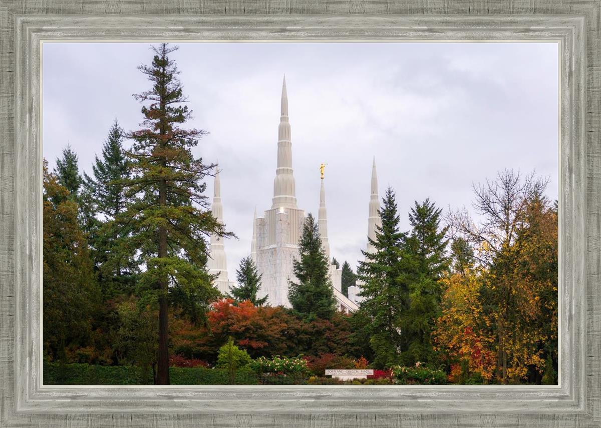 Portland Temple Forest Through The Trees