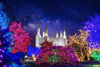 Washington DC Temple Christmas Lights