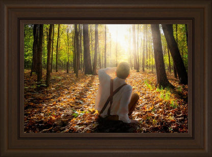 First Vision, Joseph Smith