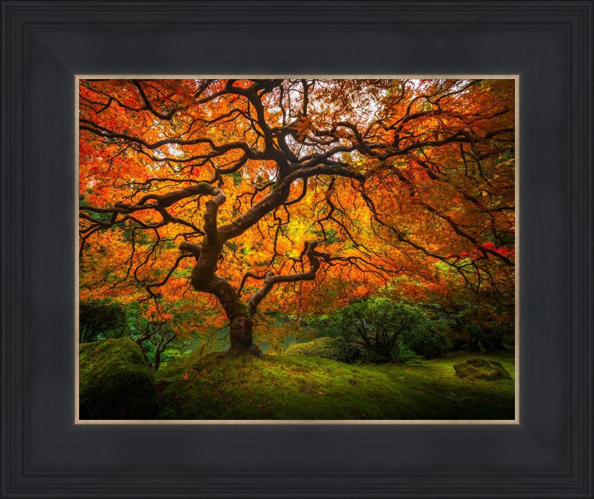 Tree of Perspective