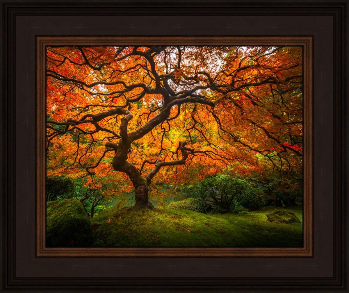 Tree of Perspective